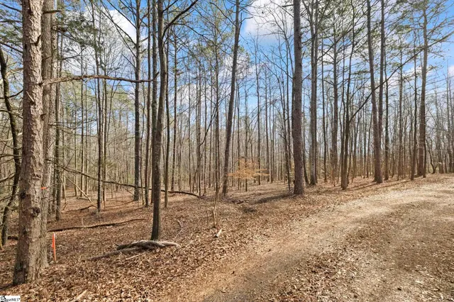 $60,000 | 1747 State Rd S-4-97, Unit LOT 3, Anderson, SC 29621