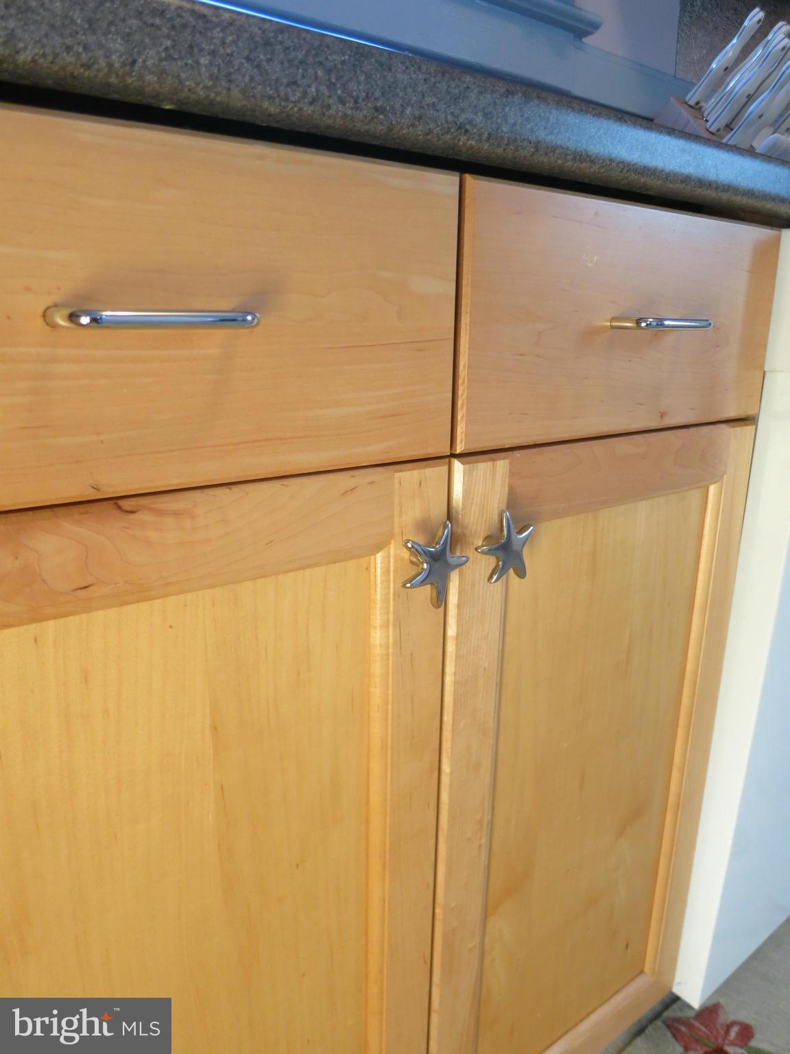 514 Westgate Road Baltimore, MD 21229 - Photo 17 of 30 Storage Cabinet in the Pantry