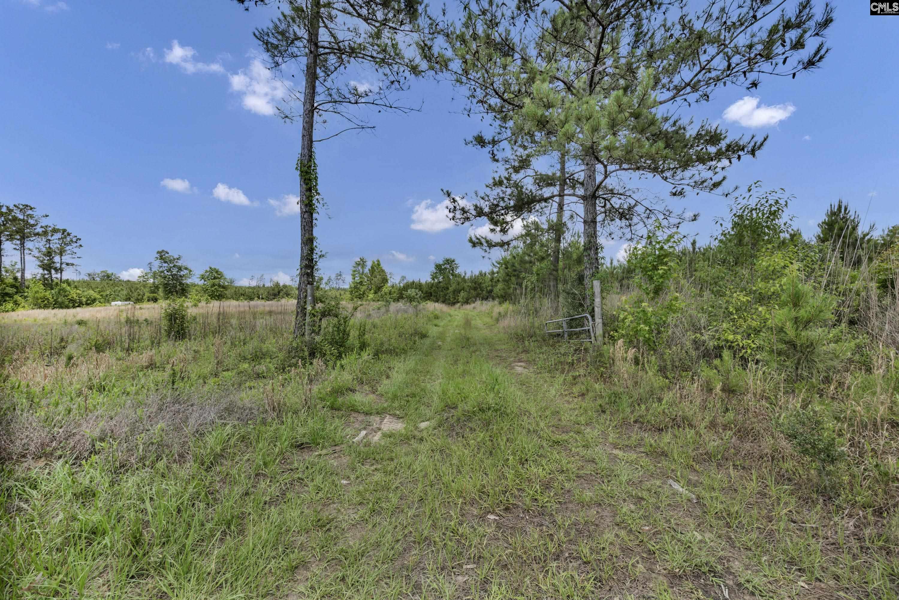 Na Bull Swamp Road North, SC 29112 - Photo 14 of 28