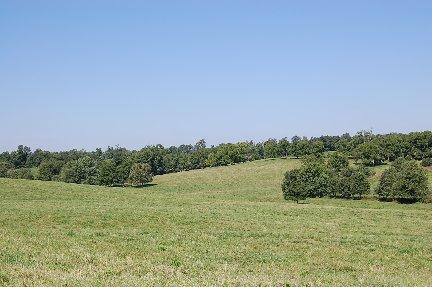 353 Stoney Point Road Paris, KY 40361 - Photo 9 of 16 Photo 9