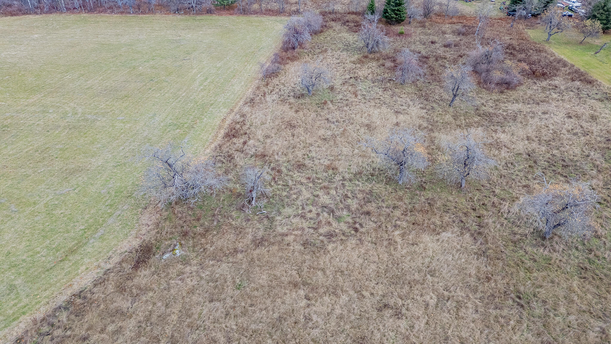 1032 North Dexter Road Guilford, ME 04443 - Photo 34 of 44 DJI_20251106131344_0753_D