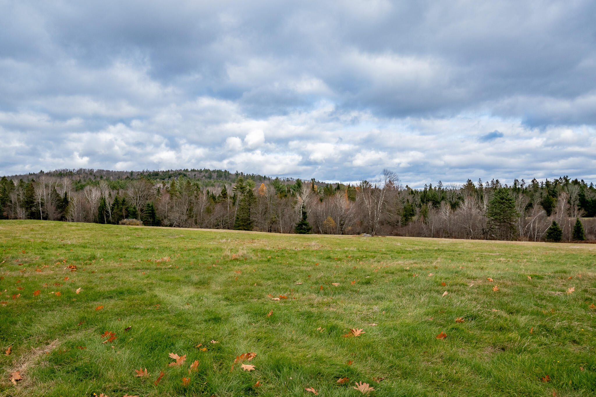 1032 North Dexter Road Guilford, ME 04443 - Photo 40 of 44 DSC_0040