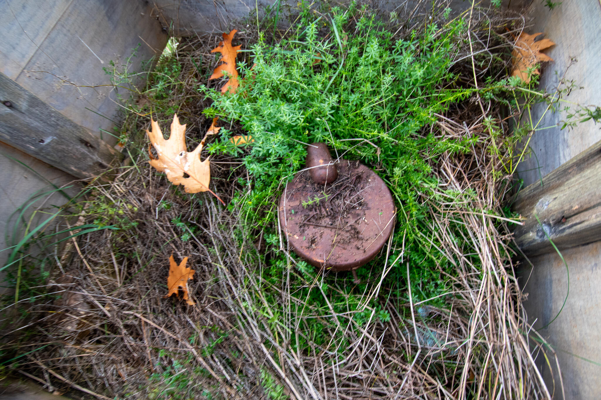 1032 North Dexter Road Guilford, ME 04443 - Photo 42 of 44 DSC_0044