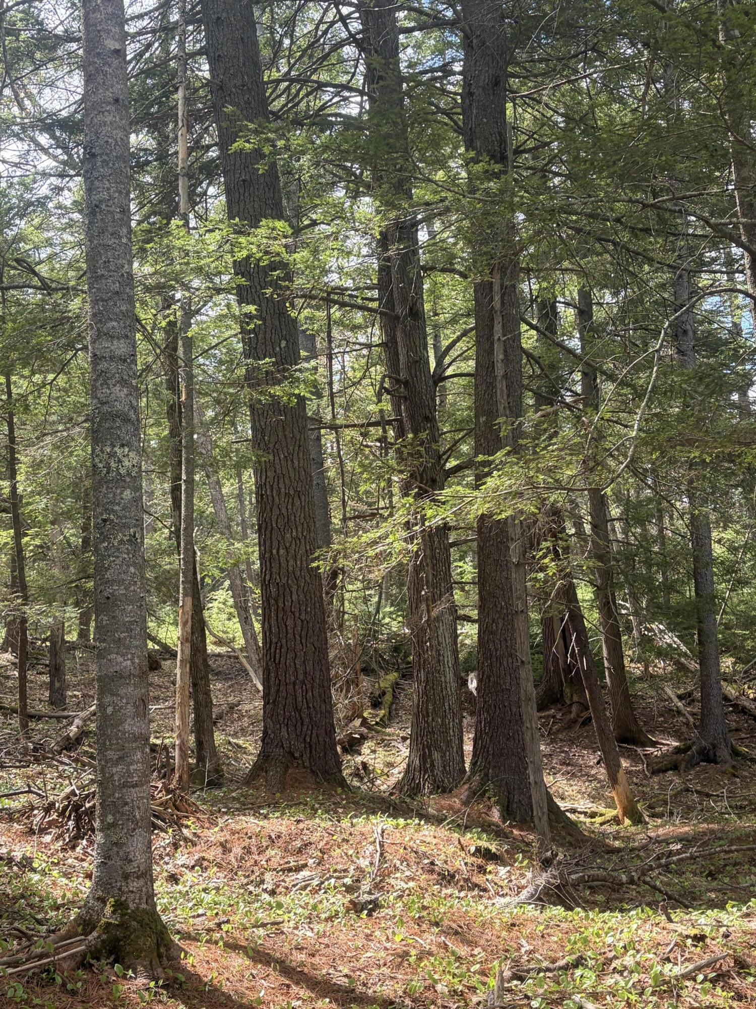 108 B Flying Point Road Freeport, ME 04032 - Photo 14 of 31 land photo 1