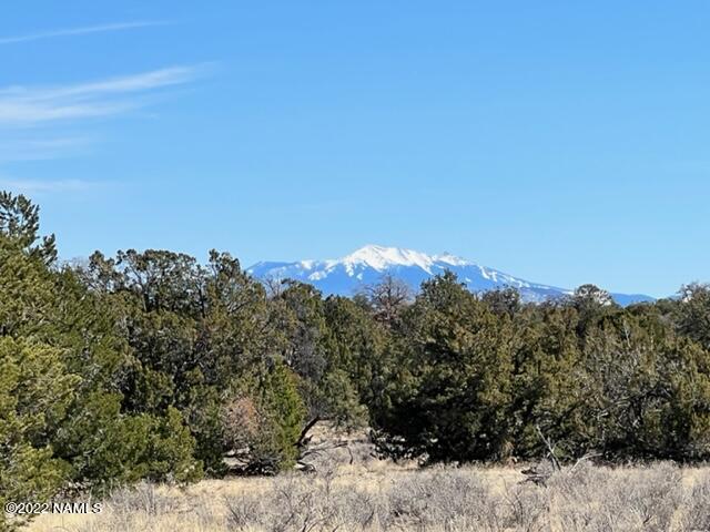 4879 North Hidden Ranch, Unit 120 Williams, AZ 86046 - Photo 1 of 31 IMG_2044