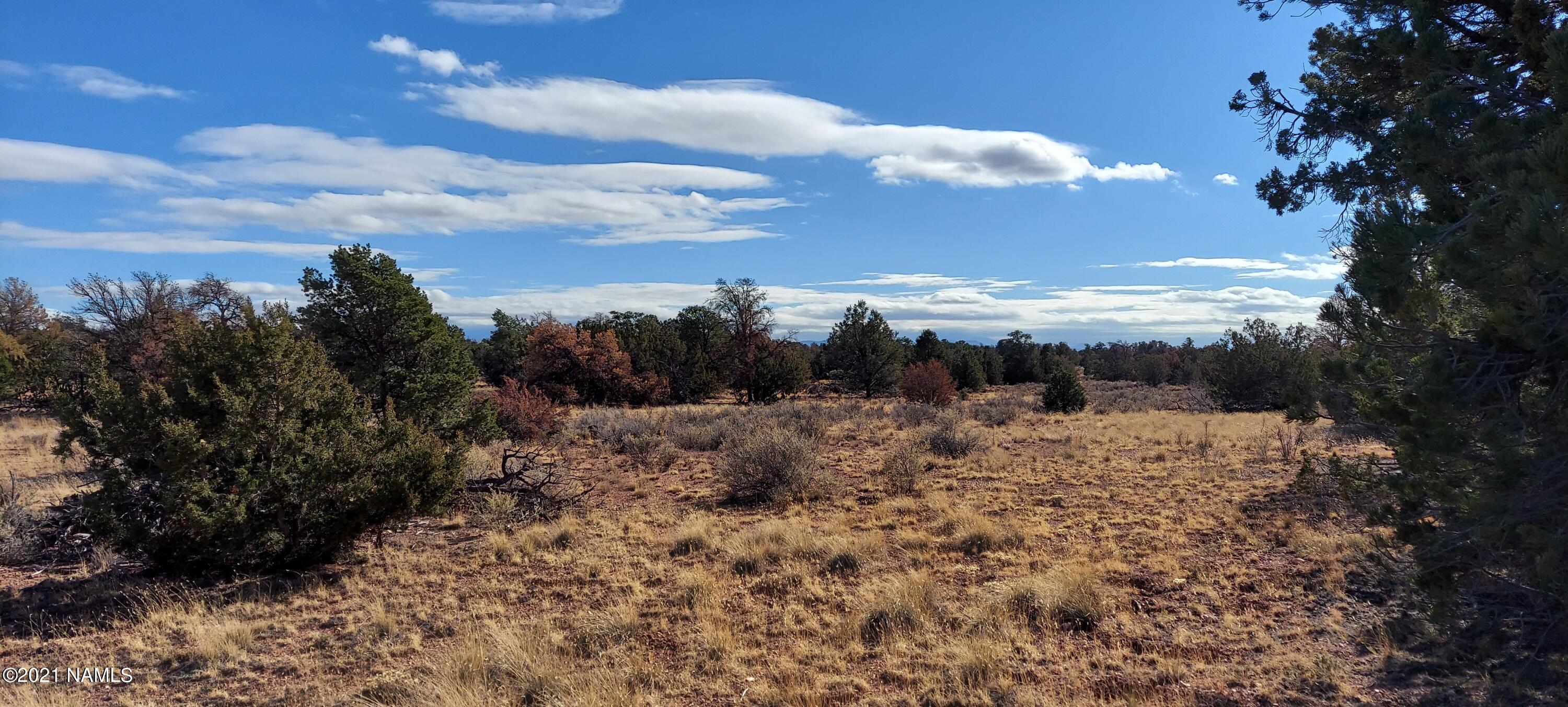 4879 North Hidden Ranch, Unit 120 Williams, AZ 86046 - Photo 19 of 31 20211208_134141