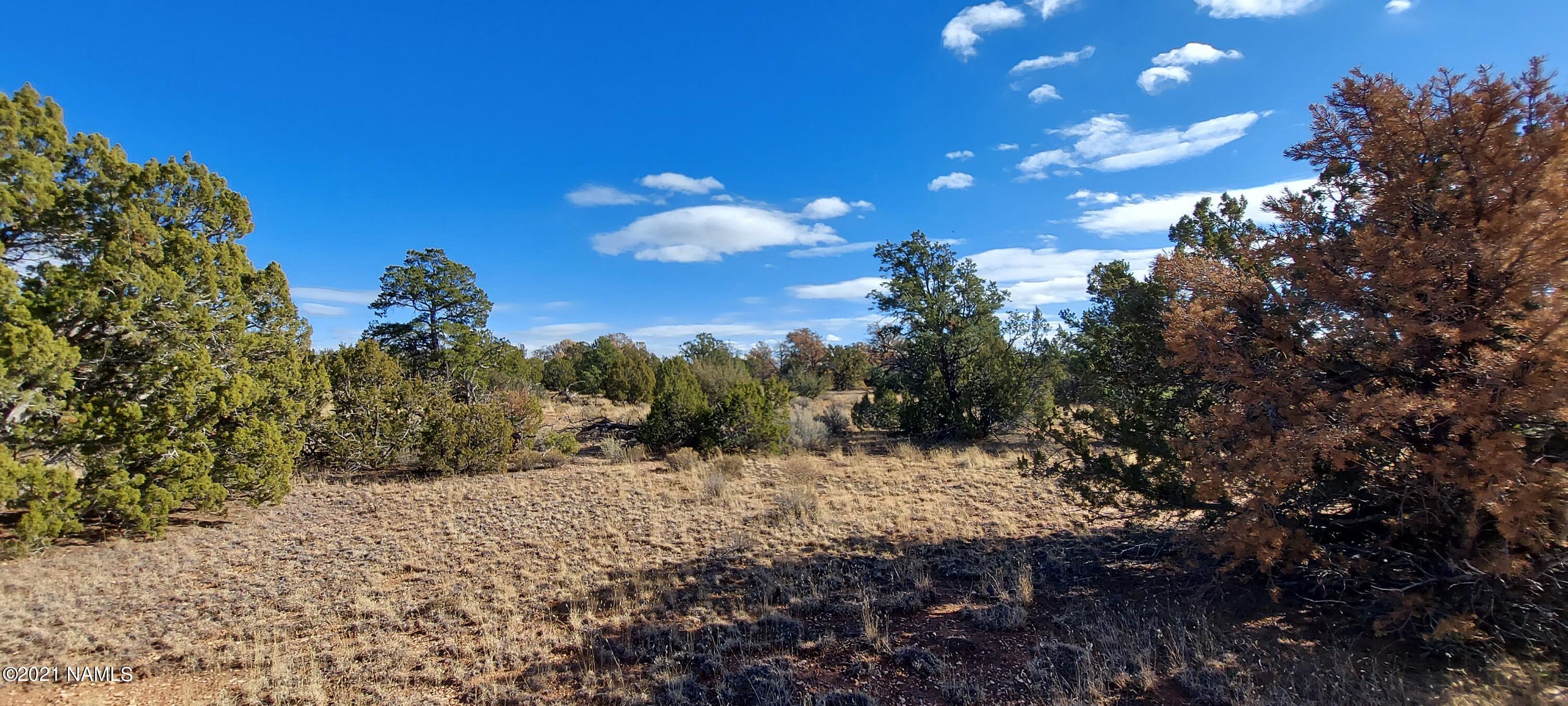 4879 North Hidden Ranch, Unit 120 Williams, AZ 86046 - Photo 20 of 31 20211208_134122