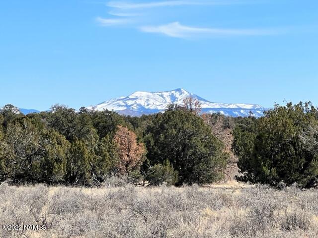 4879 North Hidden Ranch, Unit 120 Williams, AZ 86046 - Photo 2 of 31 IMG_2045