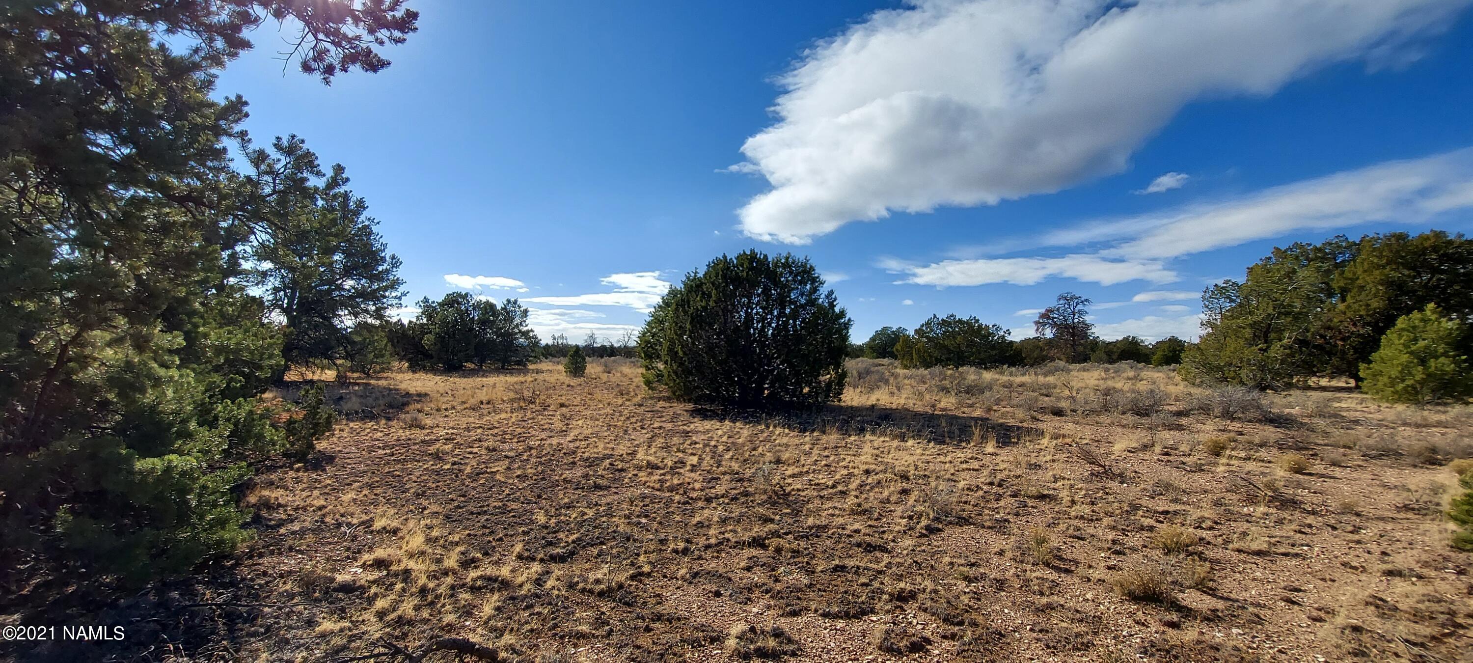 4879 North Hidden Ranch, Unit 120 Williams, AZ 86046 - Photo 21 of 31 20211208_134020