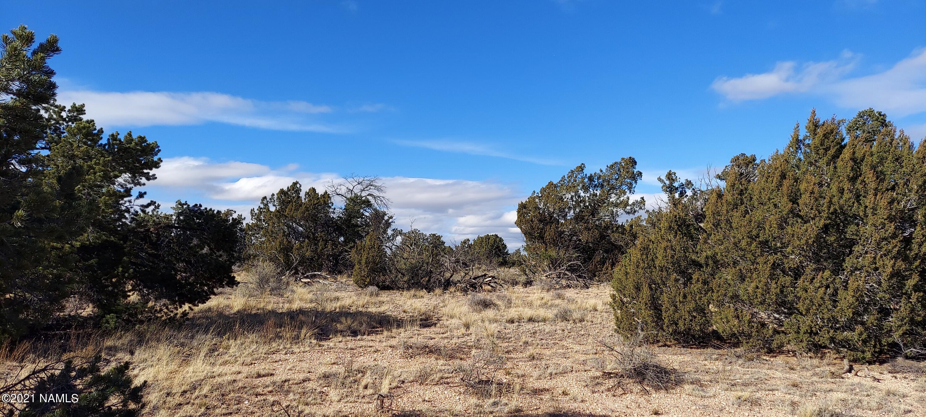 4879 North Hidden Ranch, Unit 120 Williams, AZ 86046 - Photo 22 of 31 20211208_134010