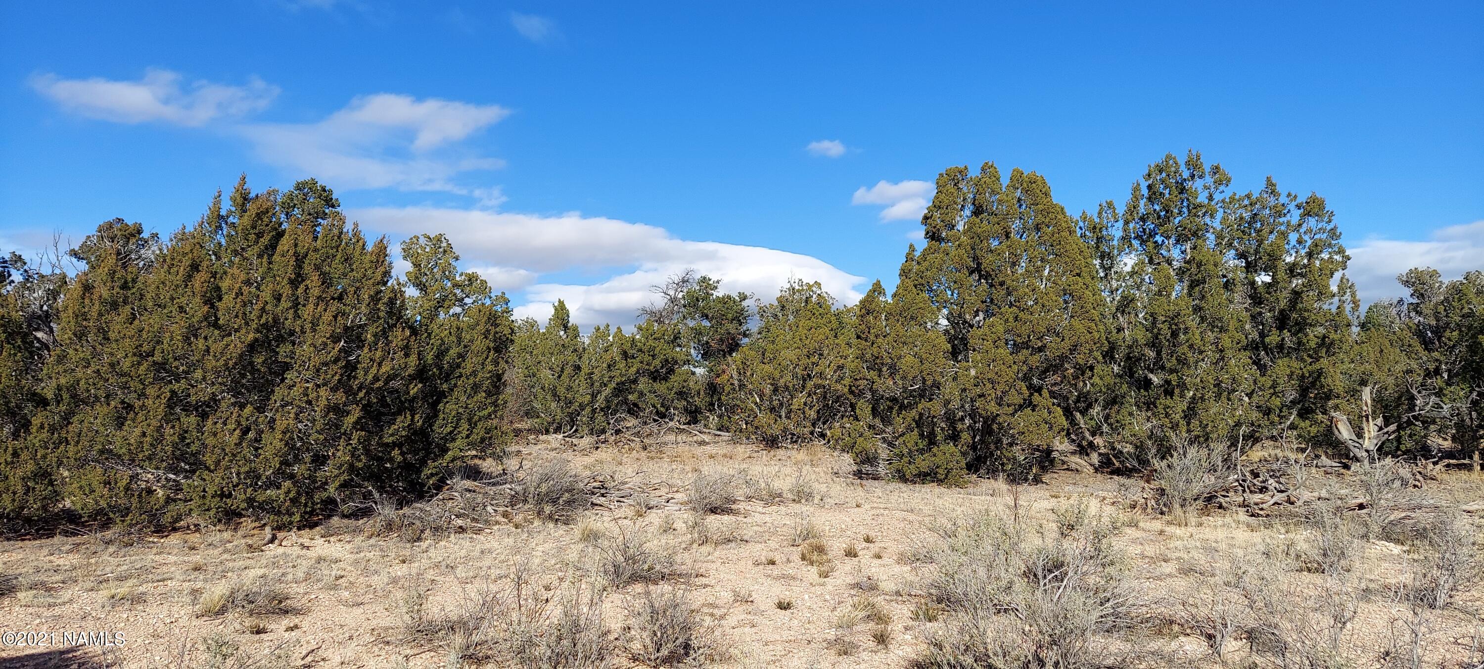 4879 North Hidden Ranch, Unit 120 Williams, AZ 86046 - Photo 23 of 31 20211208_134004