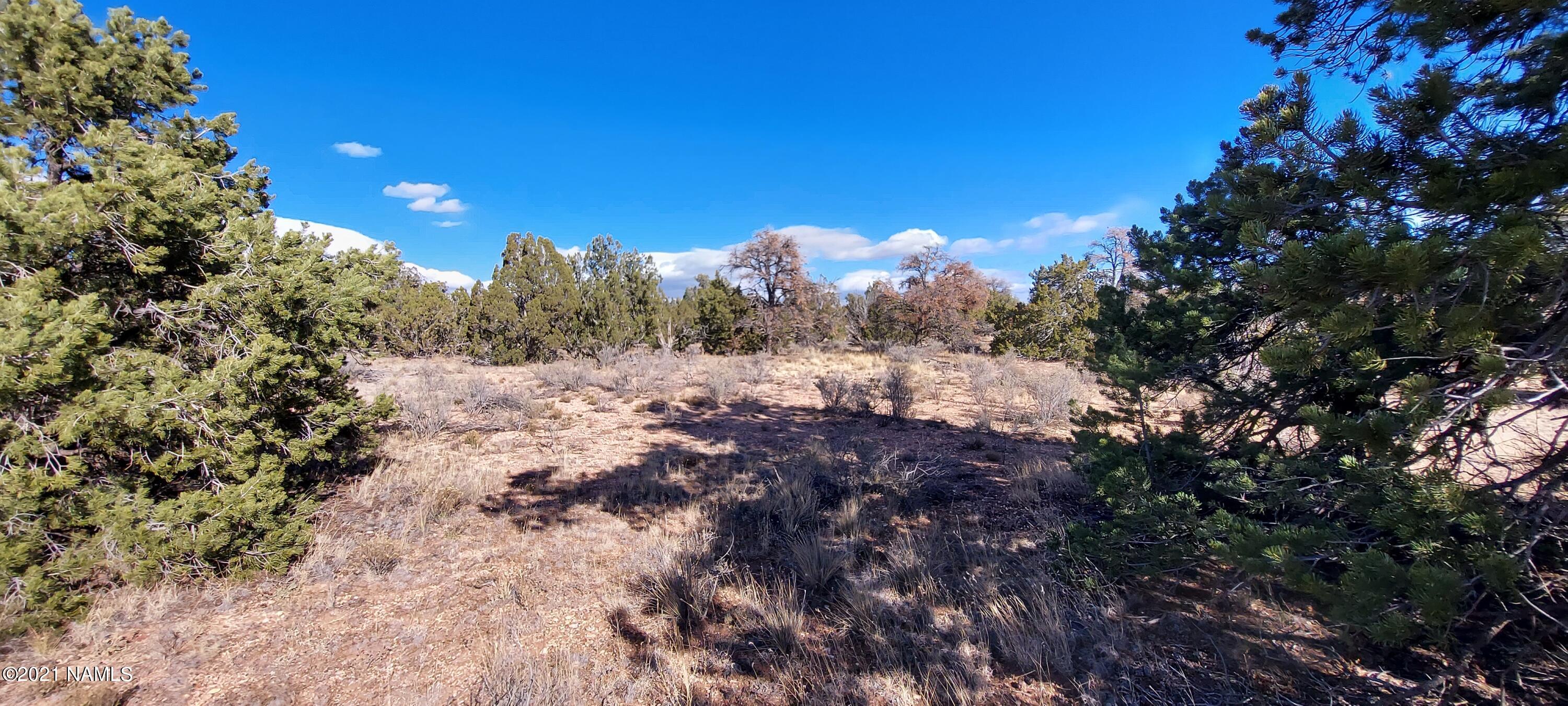 4879 North Hidden Ranch, Unit 120 Williams, AZ 86046 - Photo 24 of 31 20211208_133951