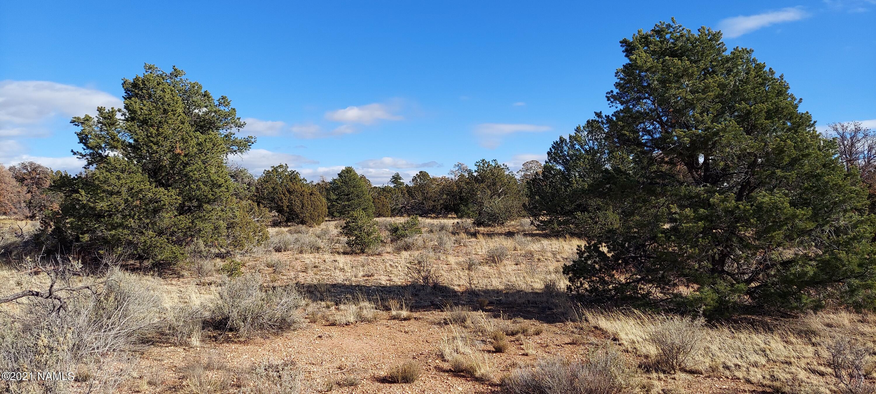 4879 North Hidden Ranch, Unit 120 Williams, AZ 86046 - Photo 25 of 31 20211208_133907
