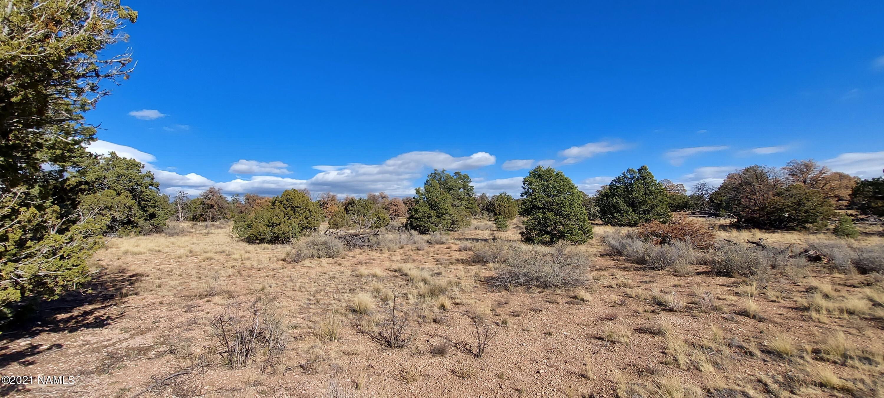 4879 North Hidden Ranch, Unit 120 Williams, AZ 86046 - Photo 26 of 31 20211208_133850