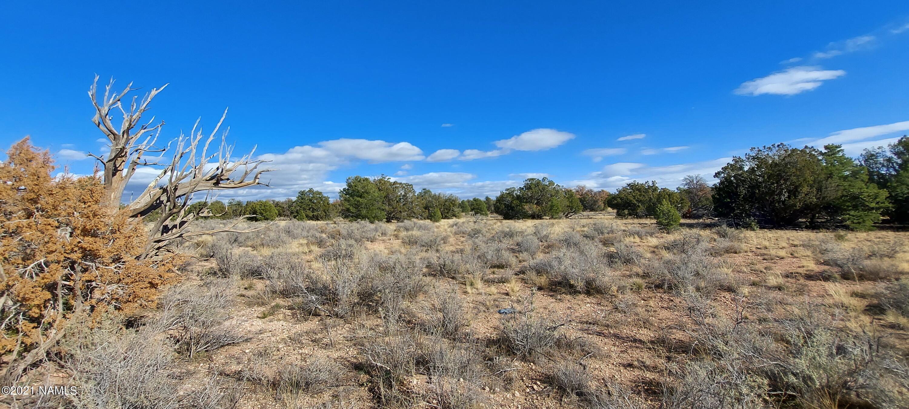 4879 North Hidden Ranch, Unit 120 Williams, AZ 86046 - Photo 29 of 31 20211208_133730