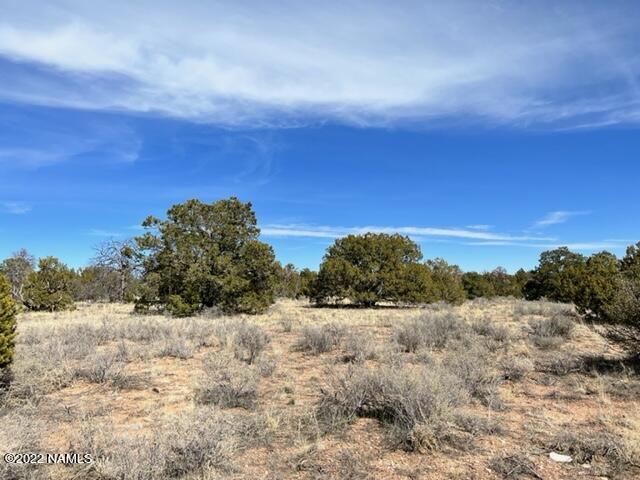 4879 North Hidden Ranch, Unit 120 Williams, AZ 86046 - Photo 30 of 31 IMG_2047