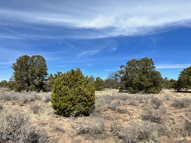 4879 North Hidden Ranch, Unit 120 Williams, AZ 86046 - Photo 3 of 31 IMG_2046