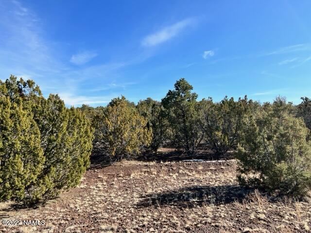 4879 North Hidden Ranch, Unit 120 Williams, AZ 86046 - Photo 31 of 31 IMG_2048