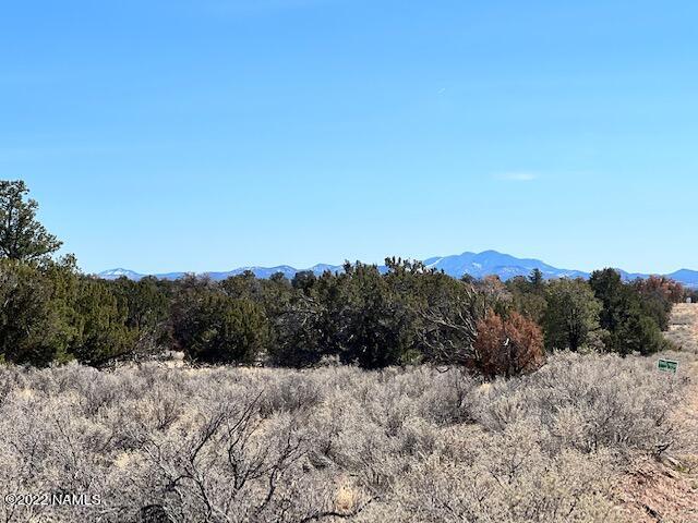 4879 North Hidden Ranch, Unit 120 Williams, AZ 86046 - Photo 4 of 31 IMG_2042