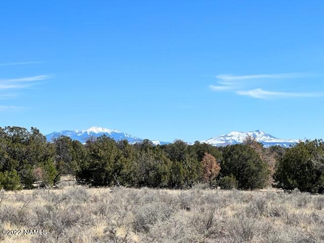 4879 North Hidden Ranch, Unit 120 Williams, AZ 86046 - Photo 5 of 31 IMG_2041