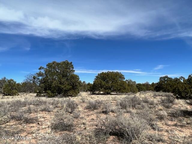 4879 North Hidden Ranch, Unit 120 Williams, AZ 86046 - Photo 6 of 31 IMG_2043