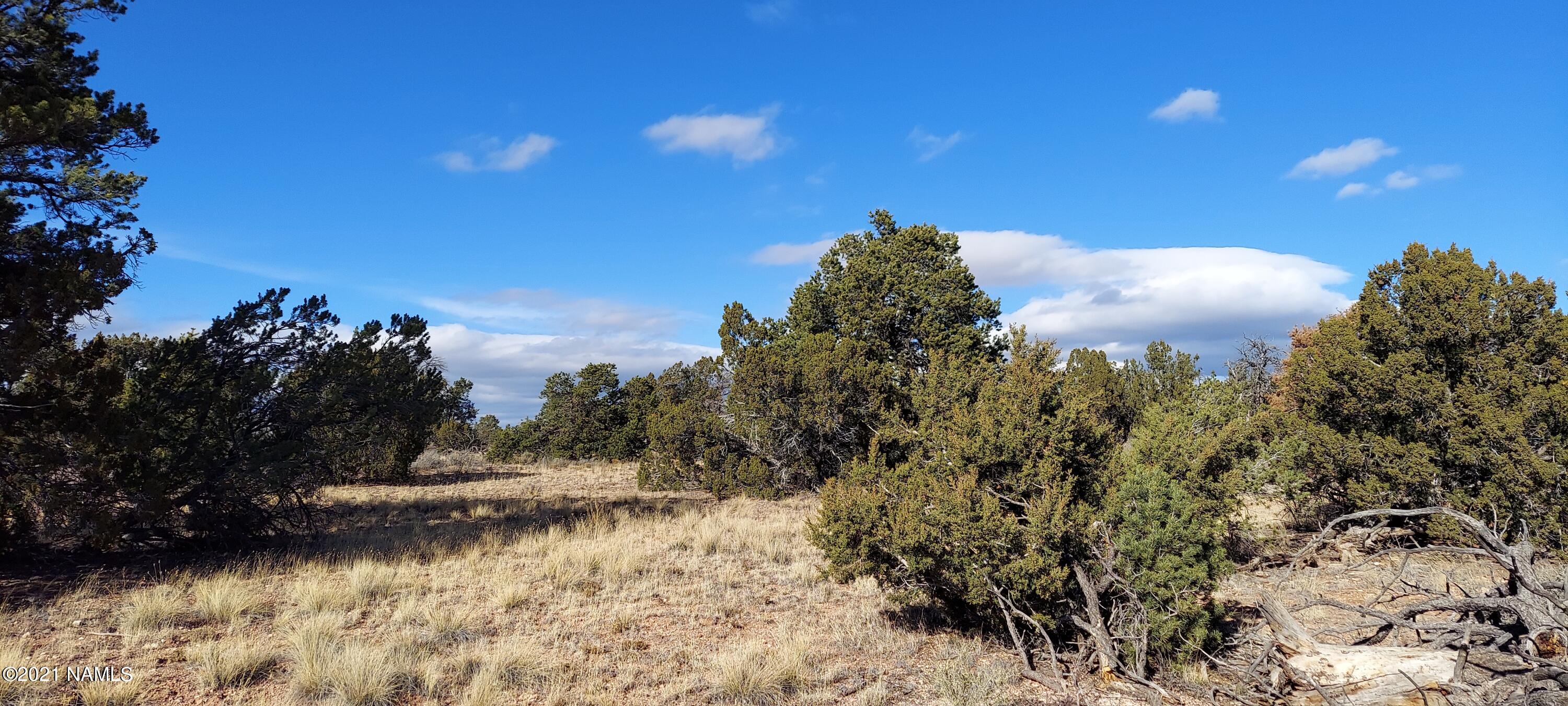 4879 North Hidden Ranch, Unit 120 Williams, AZ 86046 - Photo 8 of 31 20211208_133914