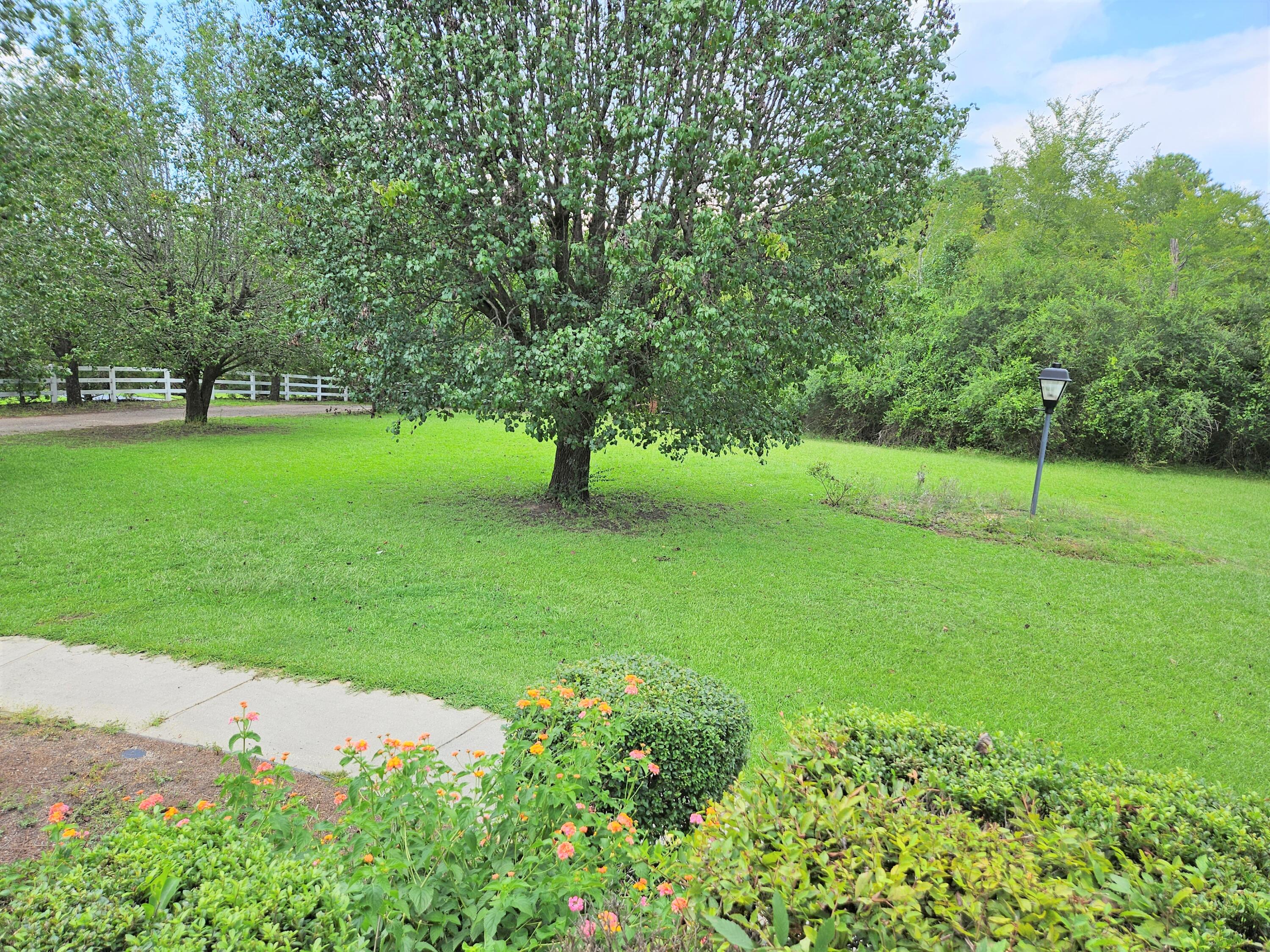 4382 Hardy McManus Road Evans, GA 30809 - Photo 41 of 46 R4382 Hardy McManus front yard1