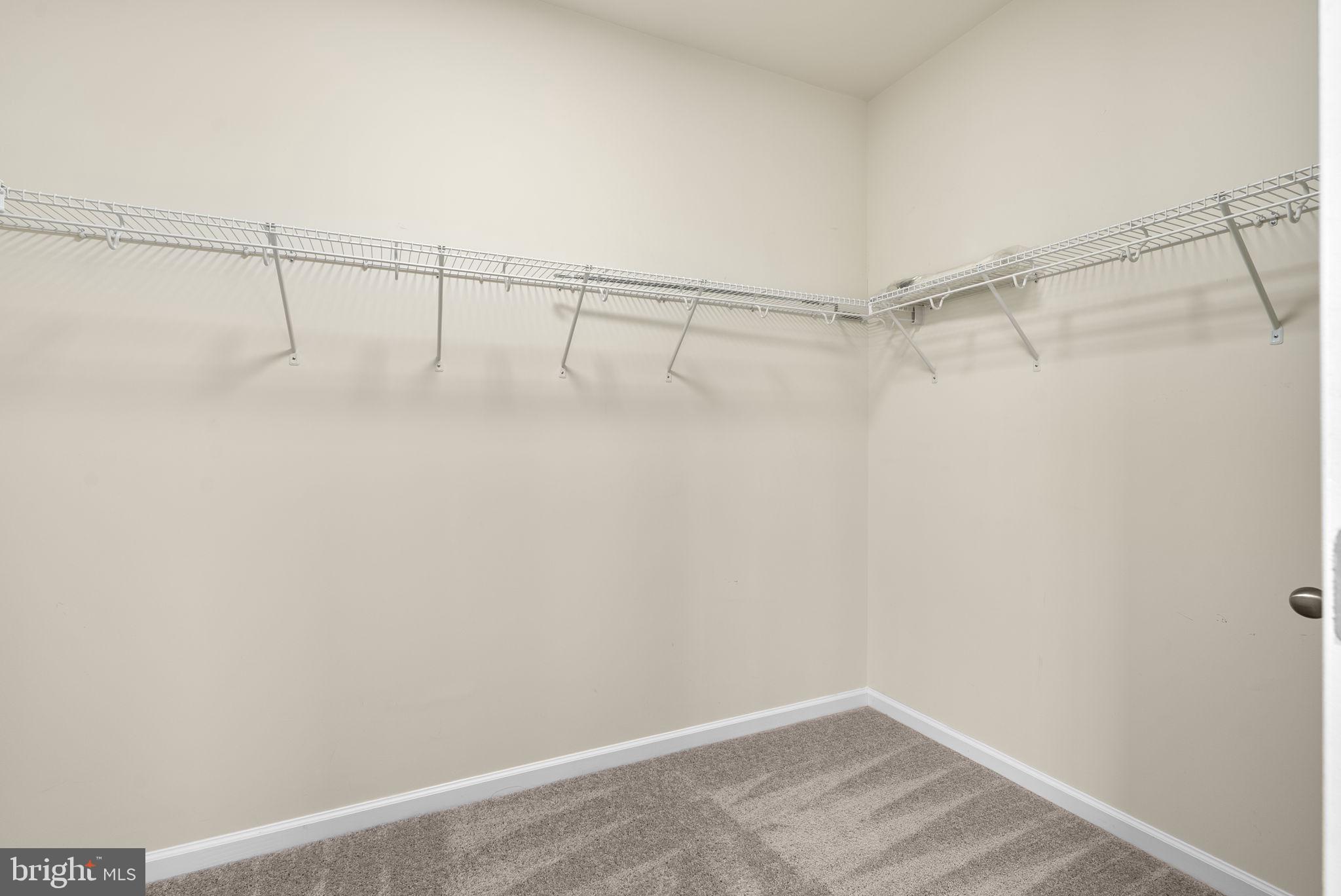 7103 Beaumont Place, Unit A Hanover, MD 21076 - Photo 24 of 53 Primary bedroom w/massive walk-in closet