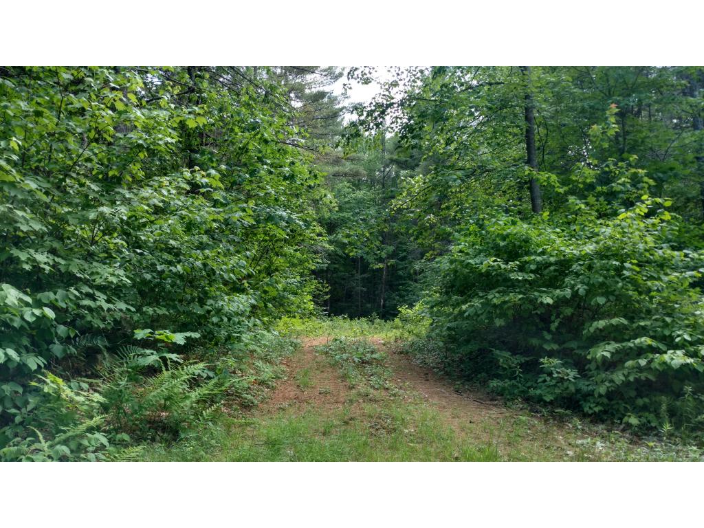 421 North Wakefield Road Wolfeboro, NH 03894 - Photo 1 of 1 Gallery Image 1