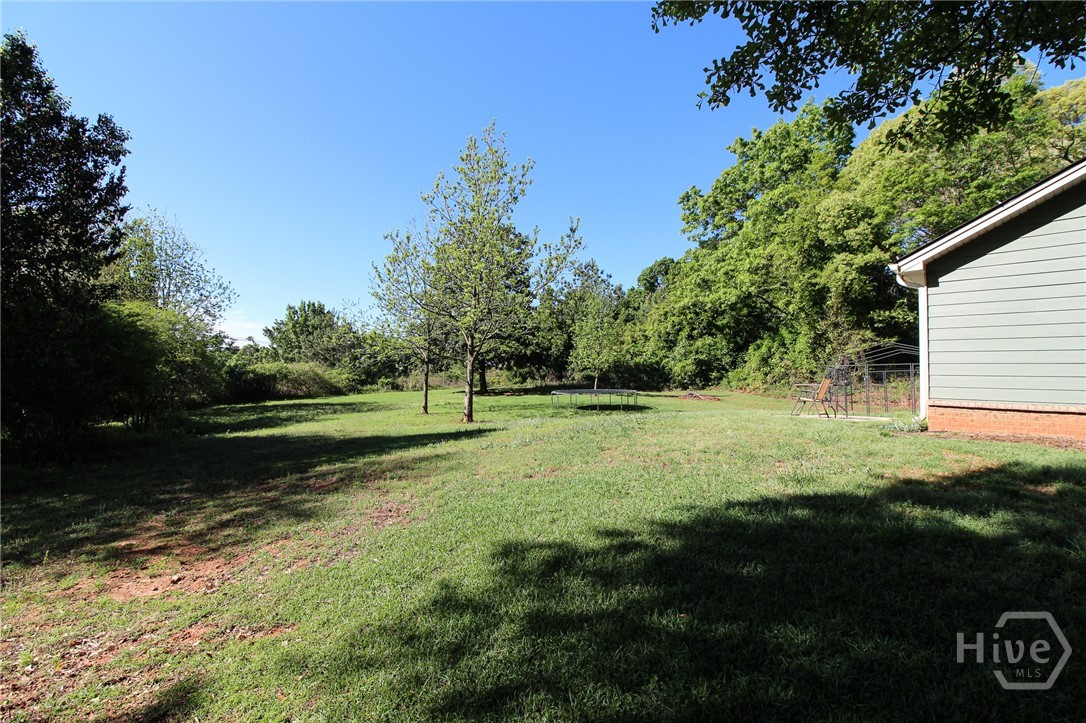 75 Dinsmore Drive Colbert, GA 30628 - Photo 37 of 38