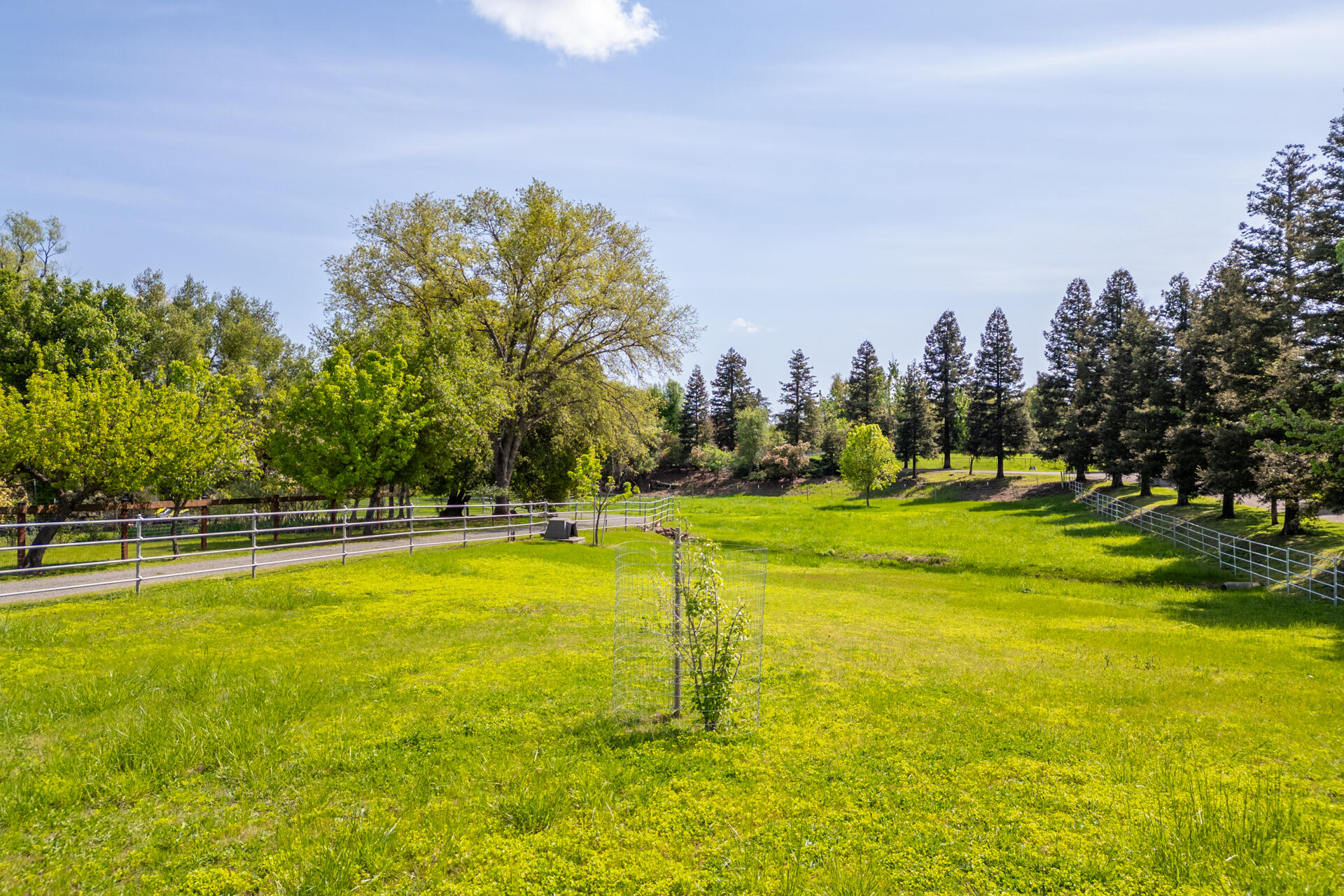 22425 Brent Road Red Bluff, CA 96080 - Photo 50 of 62 a view of a swimming pool with an outdoor space and seating area