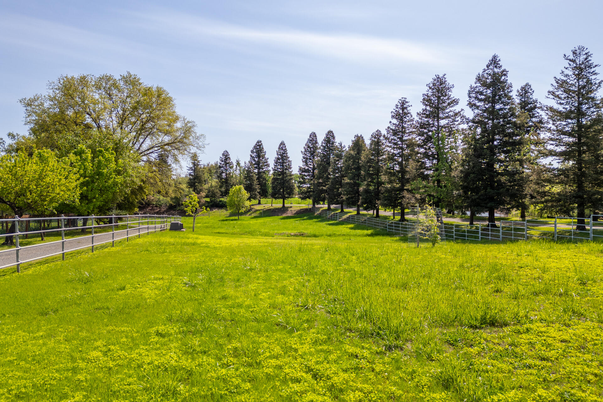 22425 Brent Road Red Bluff, CA 96080 - Photo 56 of 62 a view of a swimming pool with a yard and palm trees