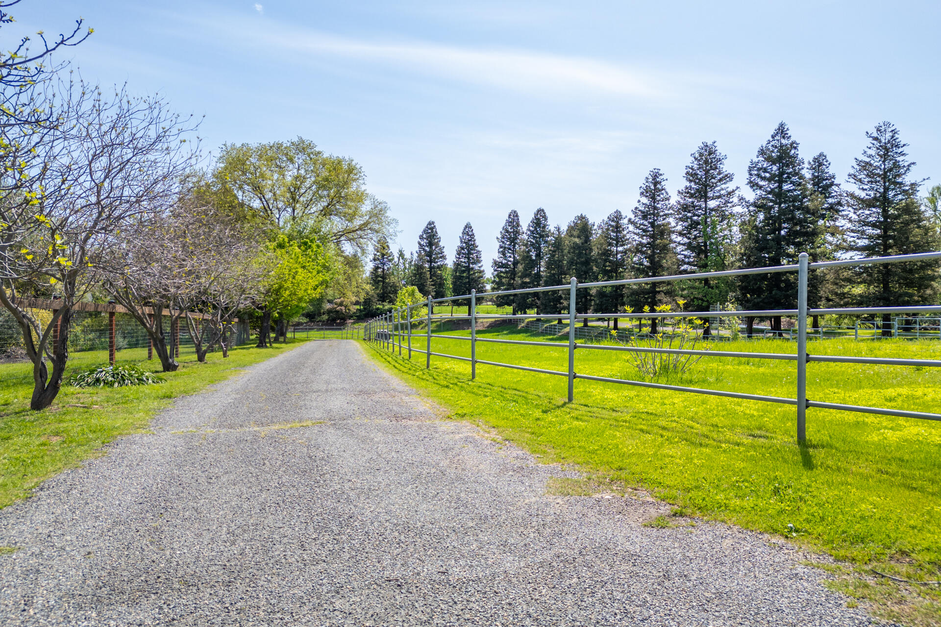 22425 Brent Road Red Bluff, CA 96080 - Photo 57 of 62 DJI_0157-HDR