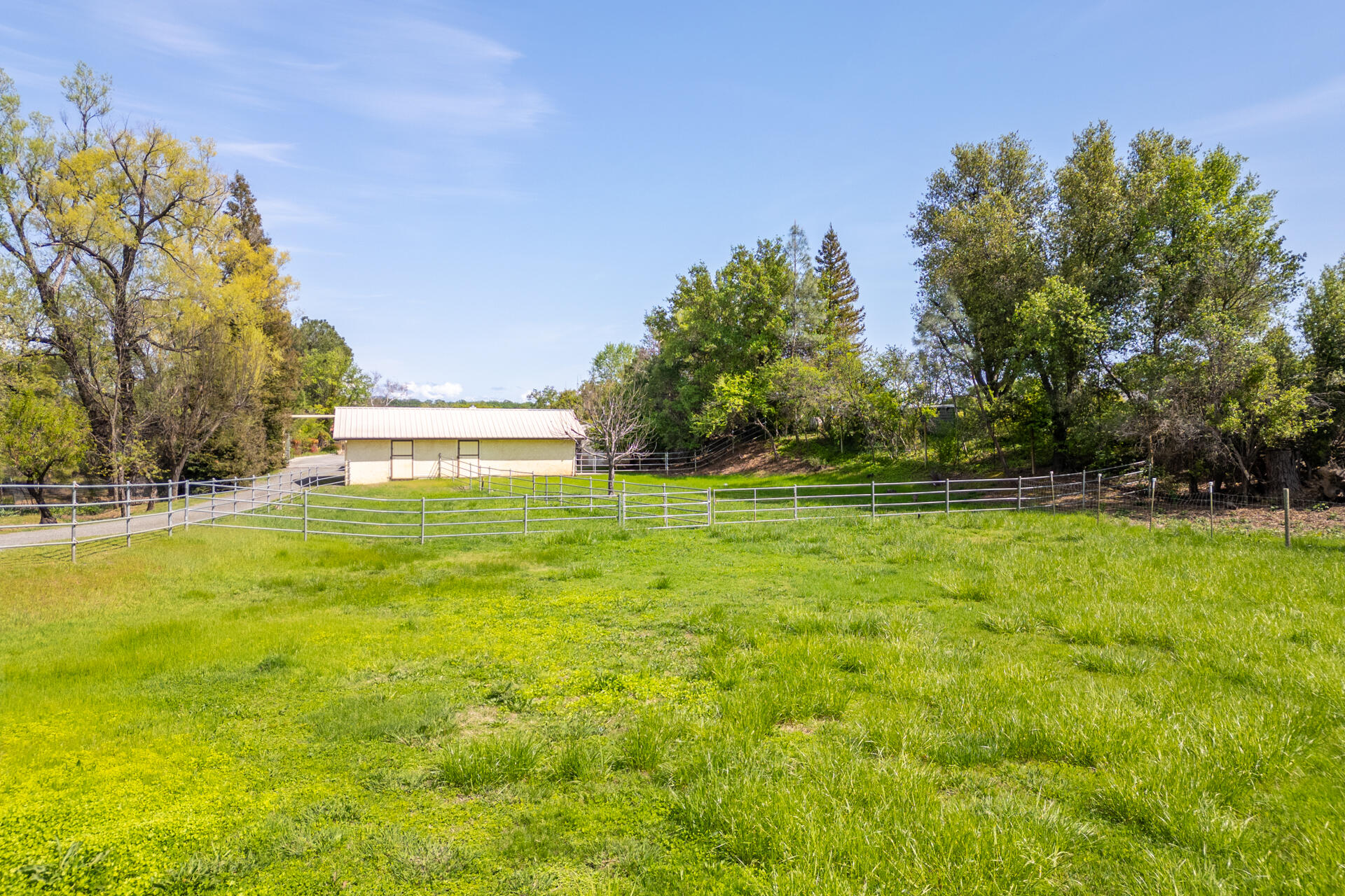 22425 Brent Road Red Bluff, CA 96080 - Photo 58 of 62 a view of yard with swimming pool and green space