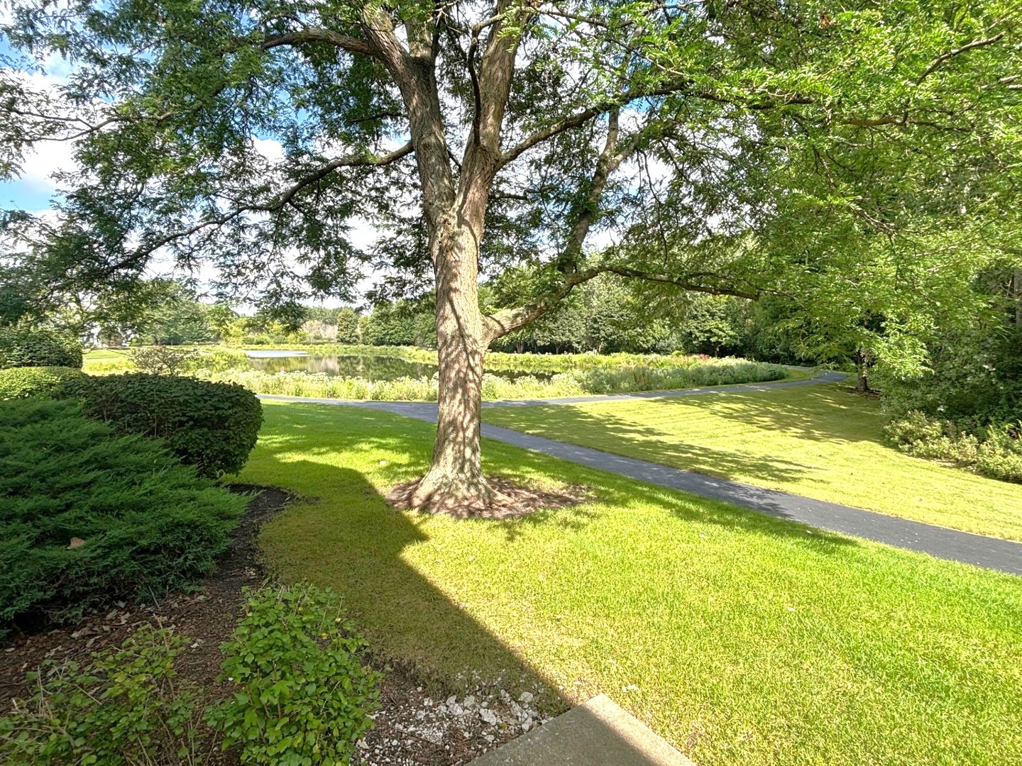 2468 Reflections Drive Aurora, IL 60502 - Photo 42 of 44 a view of an ocean from a yard