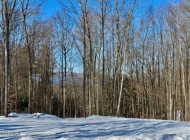 36 Lincoln Mountain Road Corinth, NY 12822 - Photo 3 of 7 IMG_8948