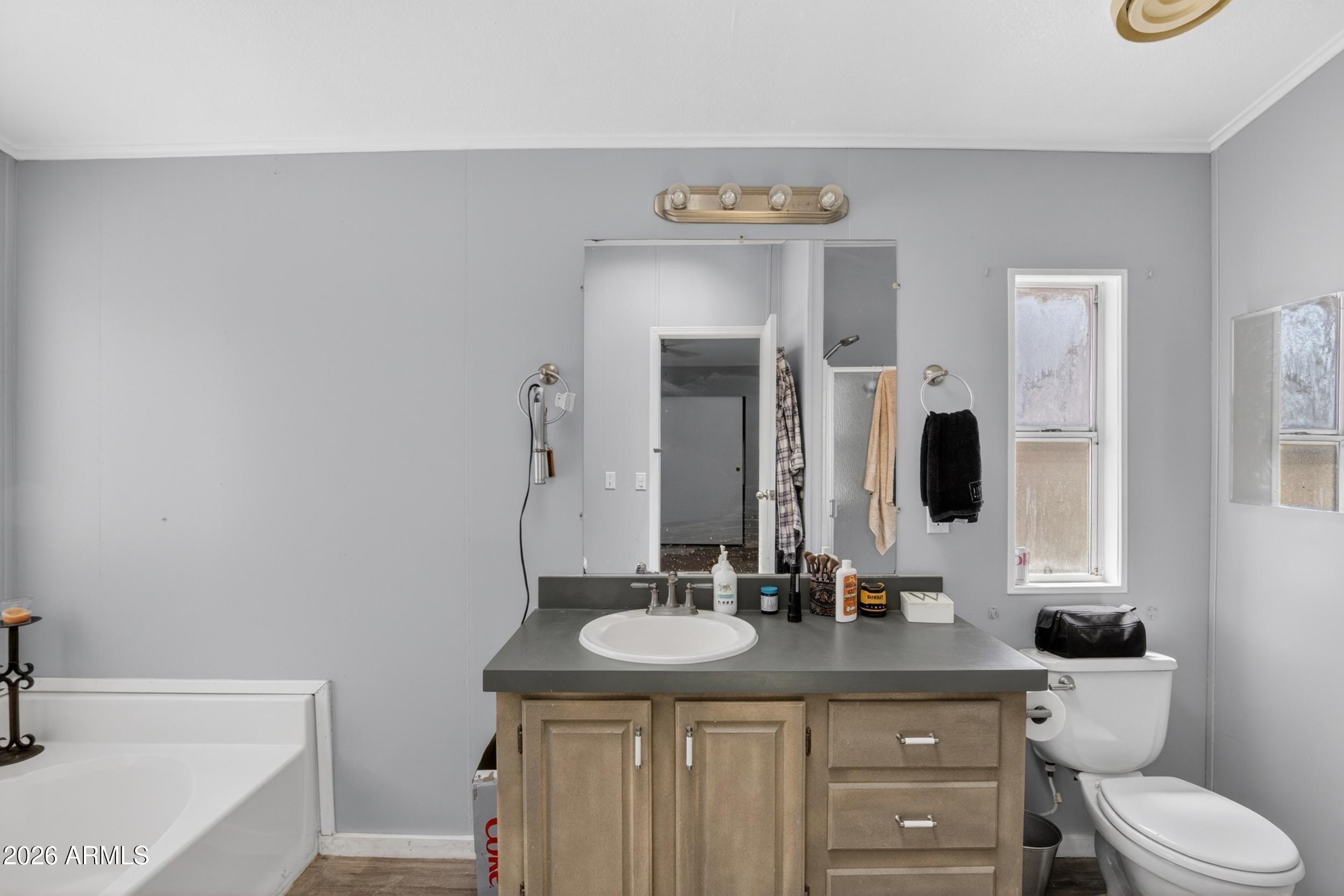 38809 East Spotted Horse Road Florence, AZ 85132 - Photo 18 of 40 a bathroom with a toilet a sink and mirror