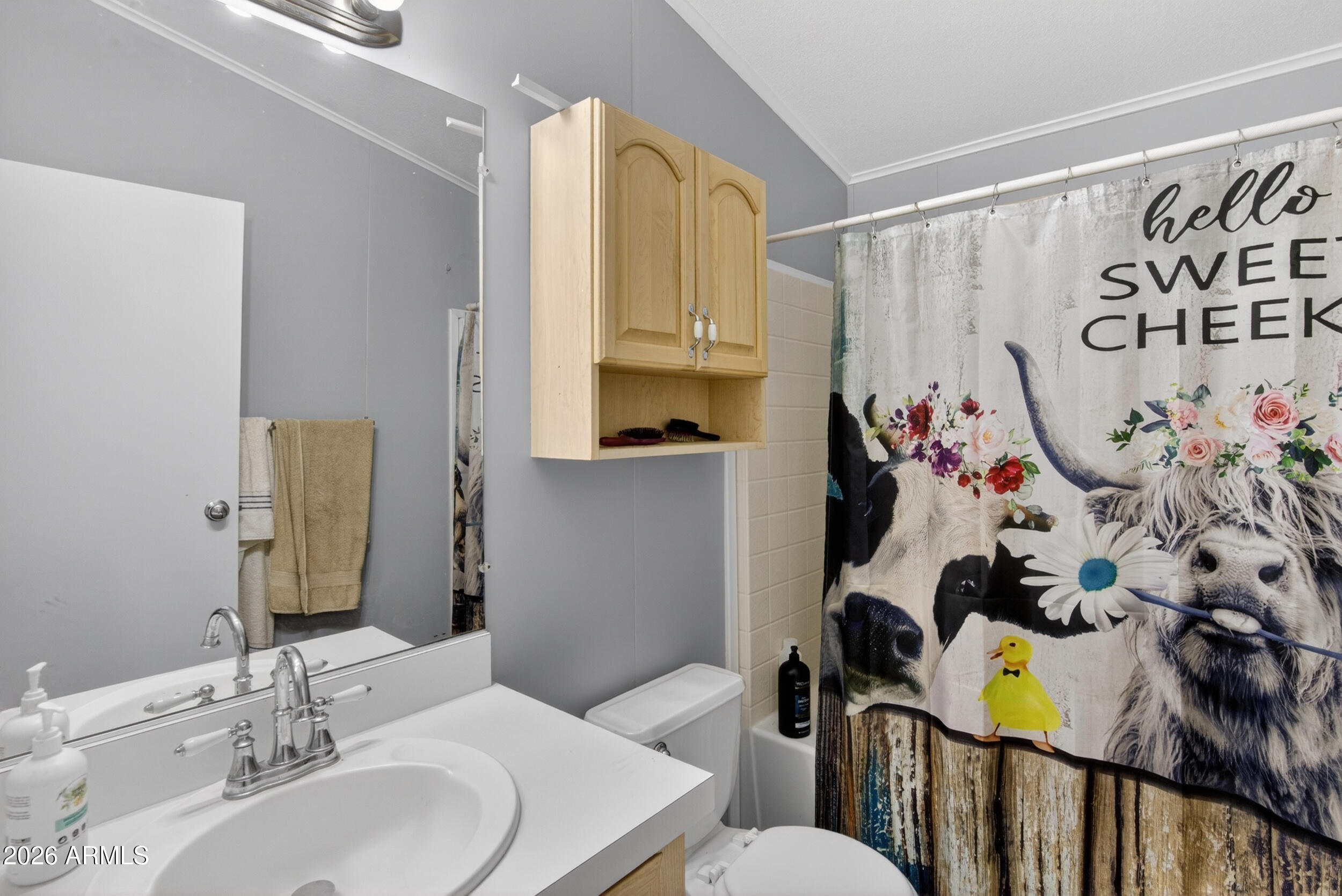 38809 East Spotted Horse Road Florence, AZ 85132 - Photo 21 of 40 a bathroom with a sink mirror vanity and toilet