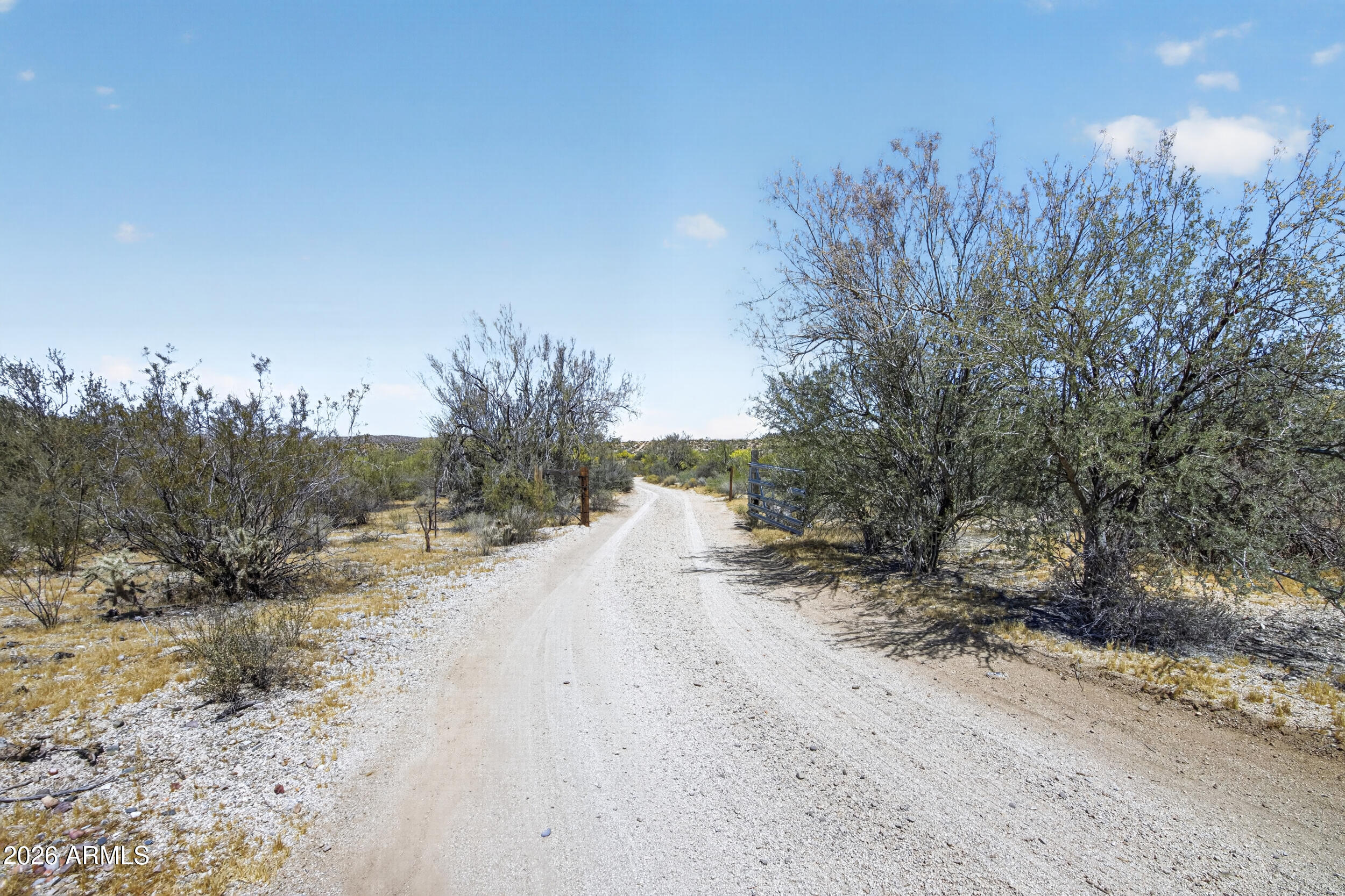 38809 East Spotted Horse Road Florence, AZ 85132 - Photo 27 of 40 a view of a yard with a tree