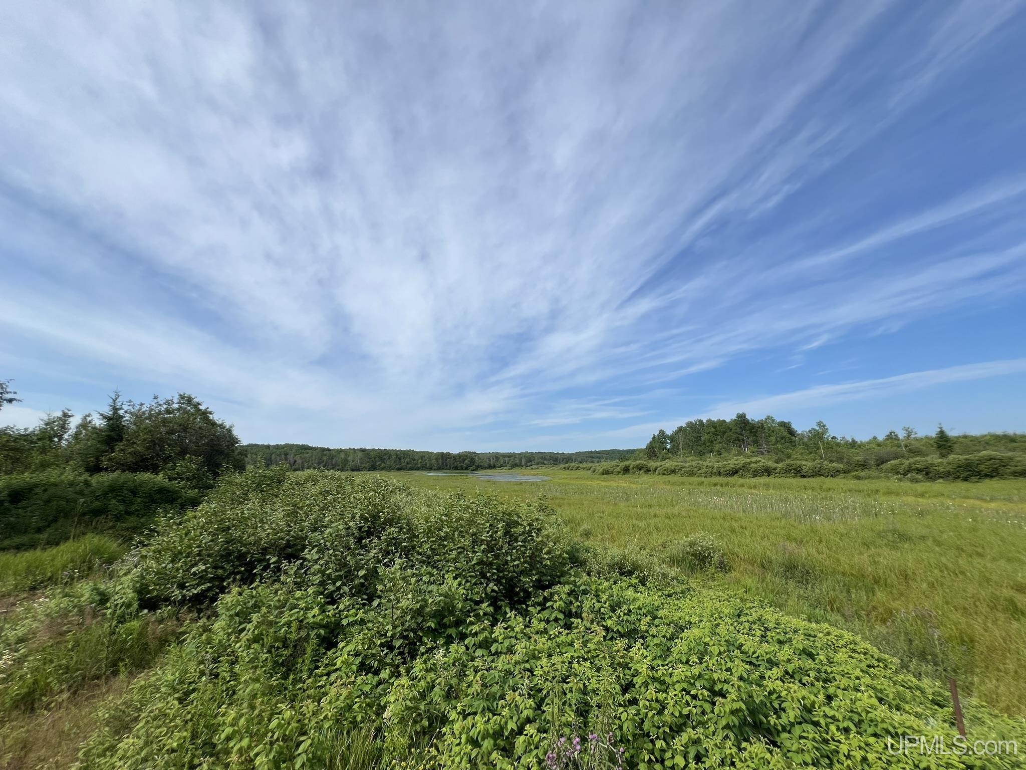 Tbd Passamani Road Iron River, MI 49935 - Photo 2 of 41
