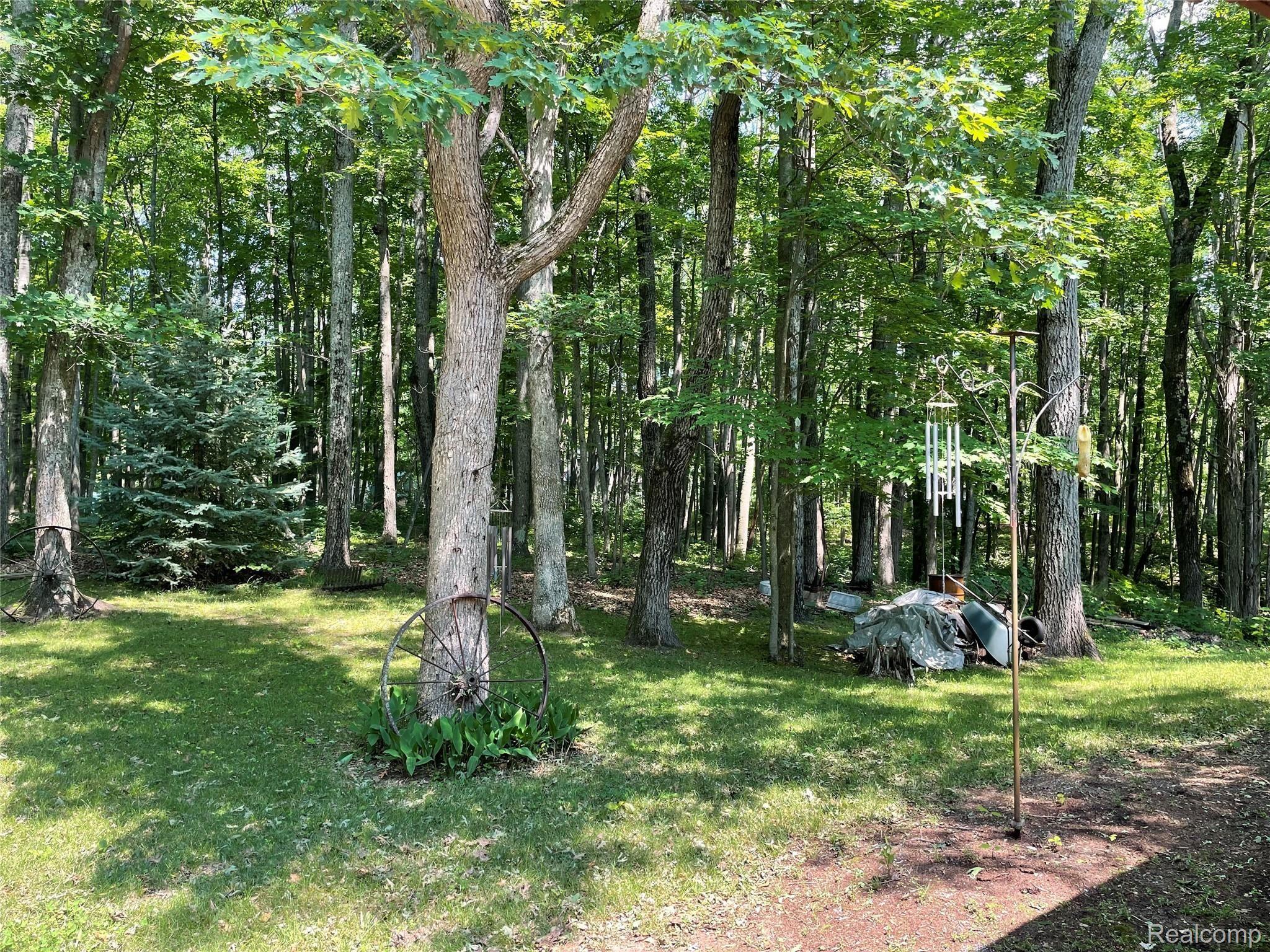 472 Dyer Road Rose City, MI 48654 - Photo 14 of 70 14.jpg