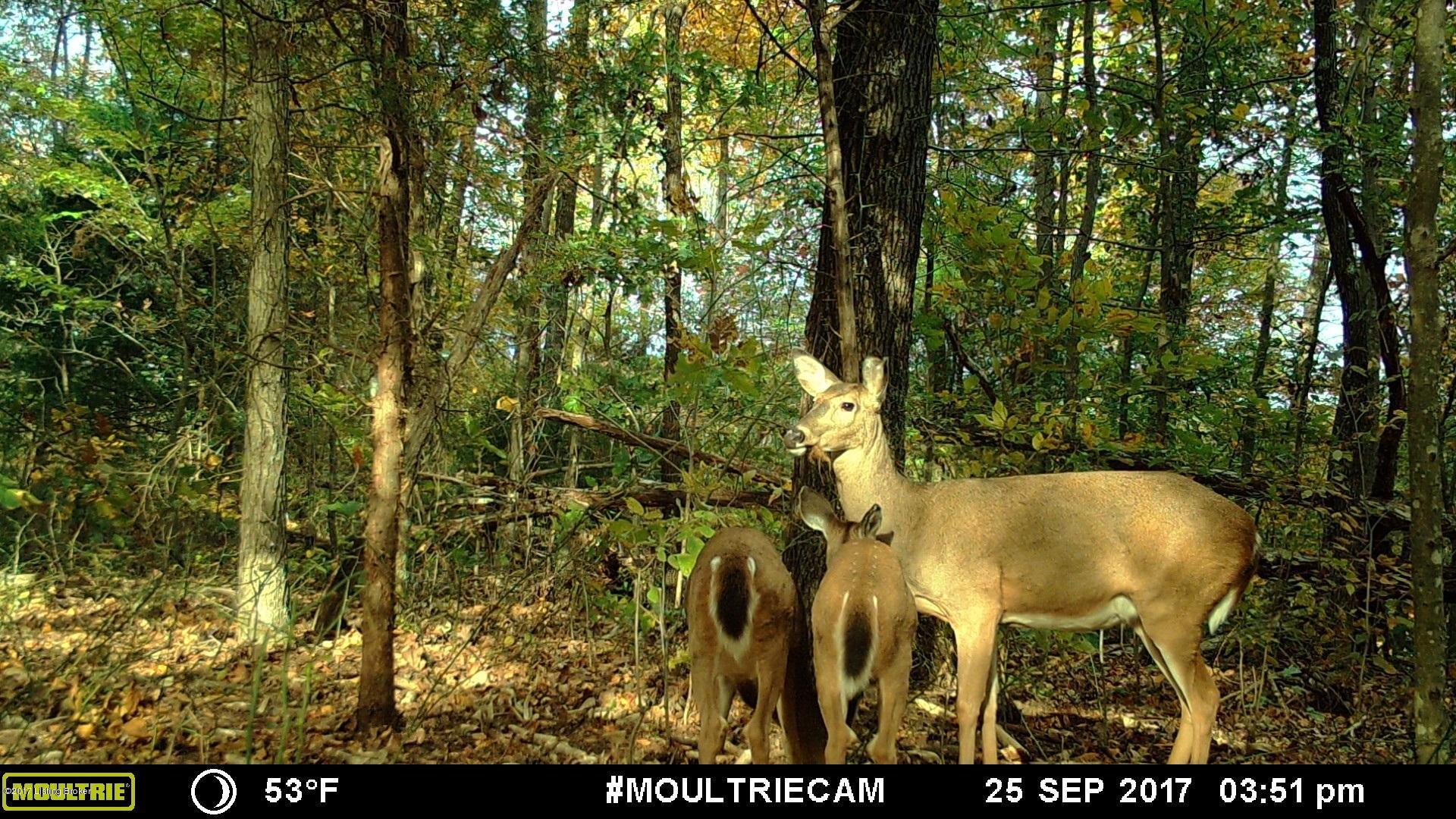 3 Sal Ashley Road Bee Spring, KY 42207 - Photo 21 of 21 MFDC9588