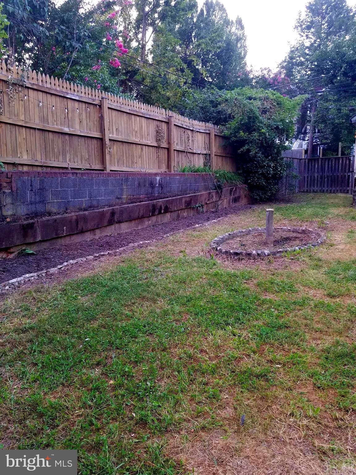 4429 P Street Northwest Washington, DC 20007 - Photo 11 of 11 a view of a backyard with plants and large trees