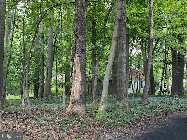 6272 Greenhill Road New Hope, PA 18938 - Photo 2 of 12