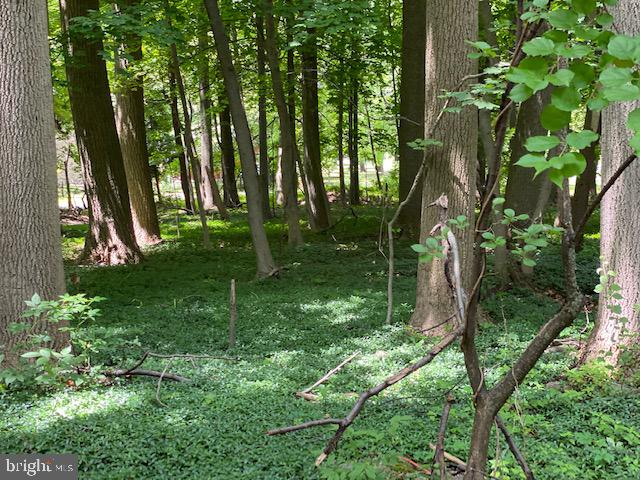 6272 Greenhill Road New Hope, PA 18938 - Photo 11 of 12