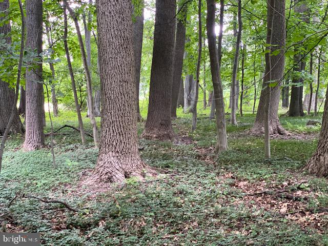 6272 Greenhill Road New Hope, PA 18938 - Photo 3 of 12