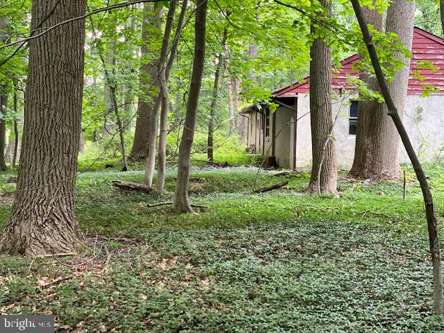 6272 Greenhill Road New Hope, PA 18938 - Photo 4 of 12