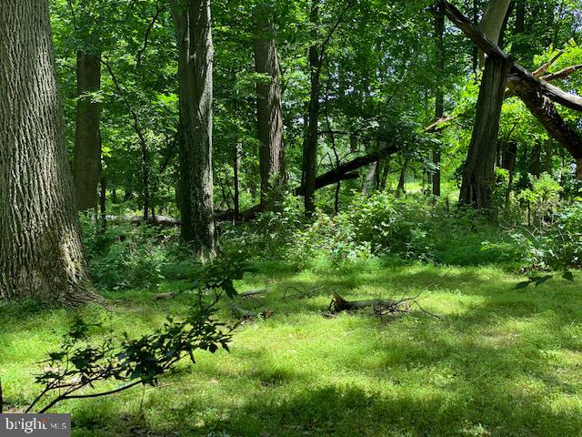 6272 Greenhill Road New Hope, PA 18938 - Photo 7 of 12