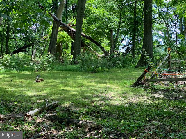 6272 Greenhill Road New Hope, PA 18938 - Photo 9 of 12