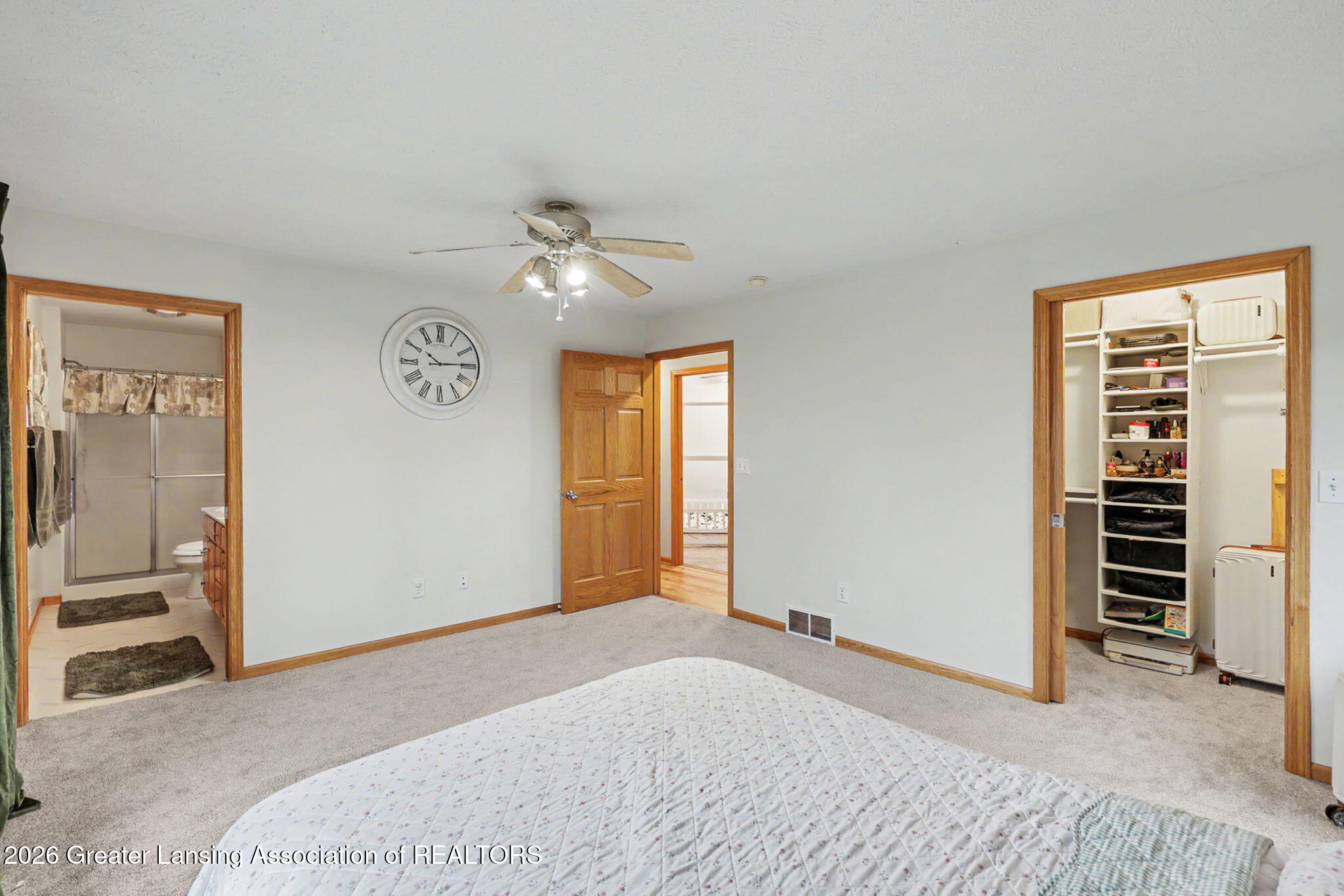 248 Birch Lane Dimondale, MI 48821 - Photo 19 of 44 19-web-or-mls-CQ1A2505